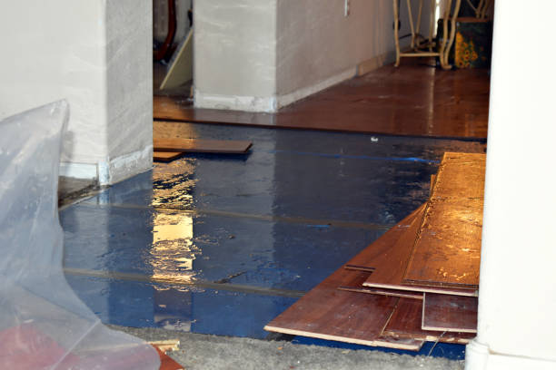 Professional Burst Pipe Cleanup technician working in Grand View, ID